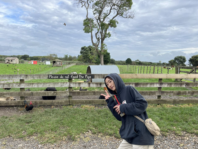🌾 Ambury Regional Park｜奧克蘭西岸的親子農場秘境