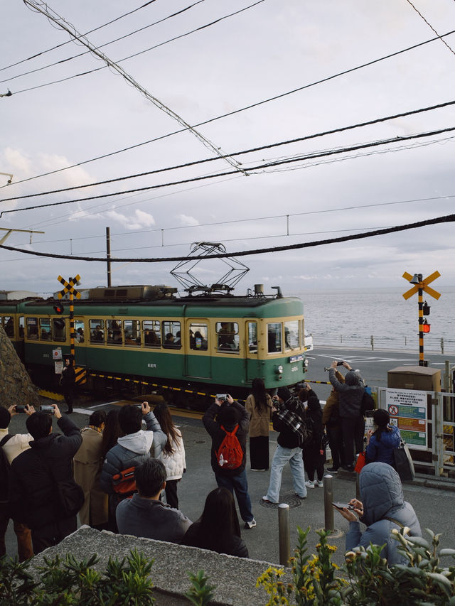 🌿🚃 One Day Trip – Kamakura