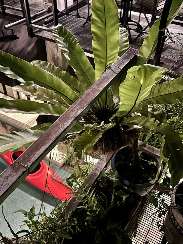 Vintage Vibes, Bold Brews – Only at Kleptokrat