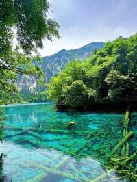 🌿✨ Discover the Enchanting Beauty of Jiuzhaigou Valley ✨🌿