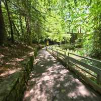 Sliding Rock – Pisgah National Forest