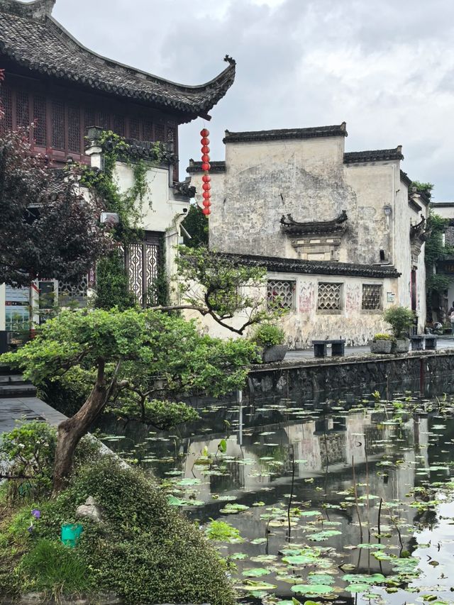 Beneath the Horse-Head Walls: A Story Called Hongcun