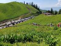 The Beauty and the Queue at Sky Grassland: Guides Need Smart Scheduling
