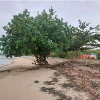 Tanjung Lesung, Banten (West Java)