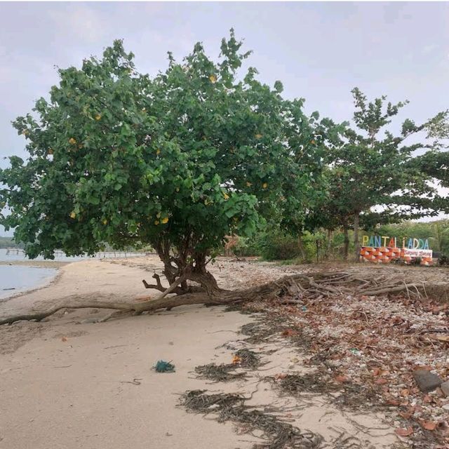 Tanjung Lesung, Banten (West Java)