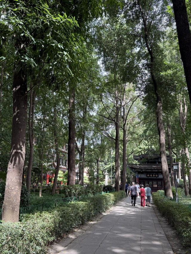 【中国・成都 文殊院】千年の時を超え心に響く、成都の禅と静寂のオアシス