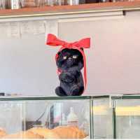 Lie Awake Cafe – ร้านกาแฟลับในปั๊ม 