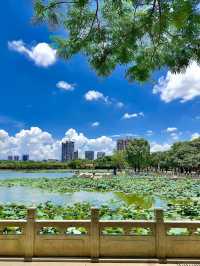 🌈China’s No.1 Archway｜Shunfengshan Park in Foshan