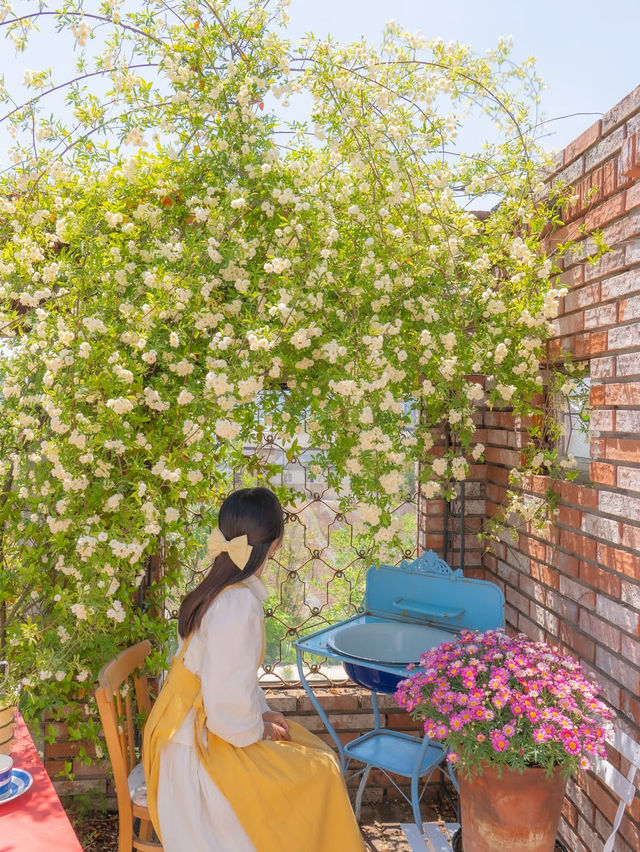 행복한 사장님이 가꾸시는 장미 정원 카페🌼💛