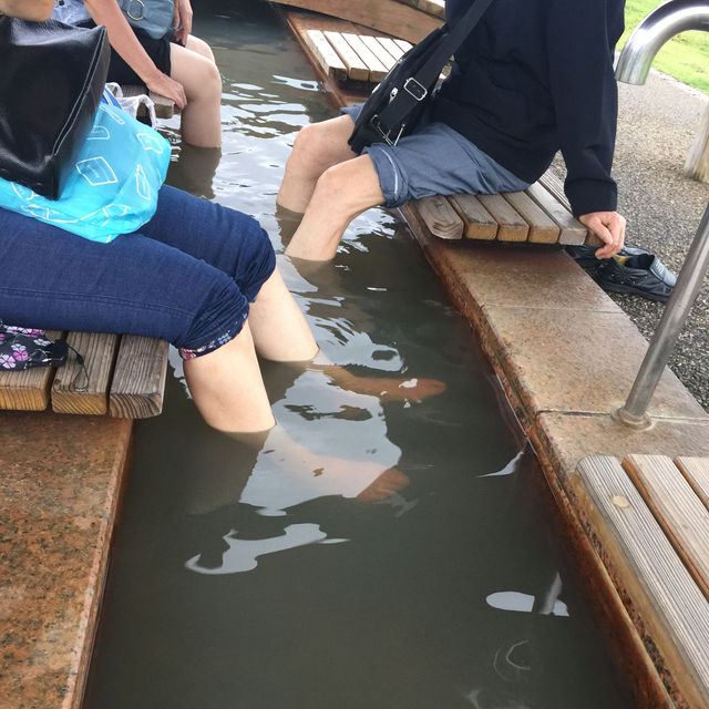 回憶的旅行片段，歐洲、日本