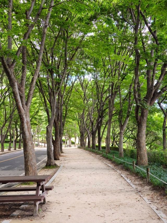 인천 장수동 인천대공원 봄 여름