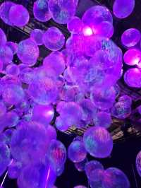 Visit Pop Air Singapore | A Unique Art Experience - Balloon Museum balloon🎈