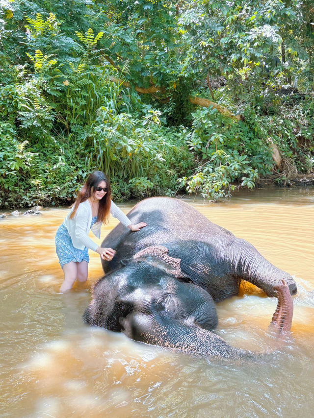 斯里蘭卡必去景點 🐘