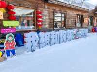 Snow Town: A Winter Fairy Tale