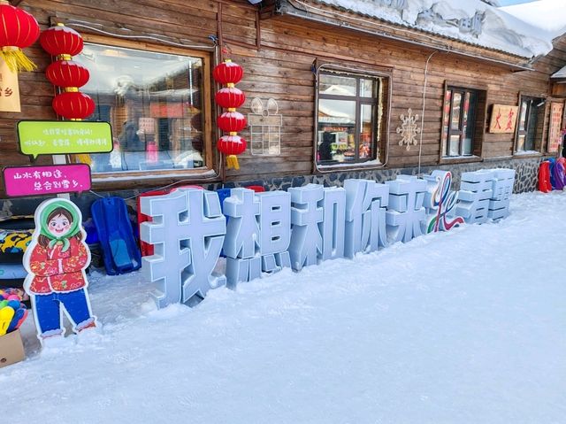 Snow Town: A Winter Fairy Tale