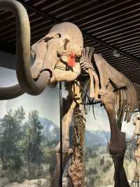 From Neolithic Jades To Holograms: Time Travel At Nanjing Museum