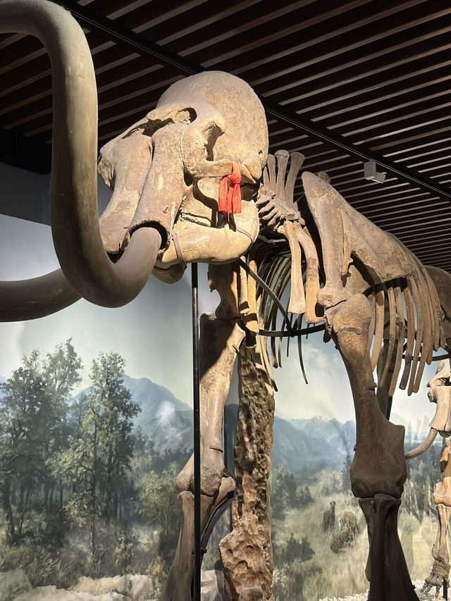 From Neolithic Jades To Holograms: Time Travel At Nanjing Museum
