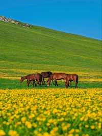 “Roof of the Western Frontier”