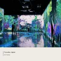 Teamlab Forest | Fukuoka