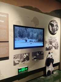 รีวิว Chengdu Giant Panda Museum