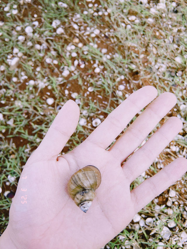 บ้านปลายไม้เขื่อนอุบลรัตน์🌳🌊