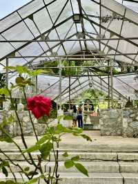 Refined Calm in the City: Oasis Garden Experience 