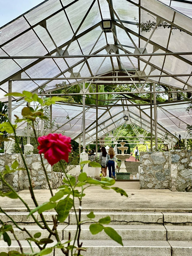 Refined Calm in the City: Oasis Garden Experience 