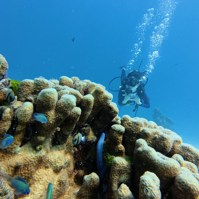 5D4N in Phuket @ $800 only (including flight+hotel+activities)