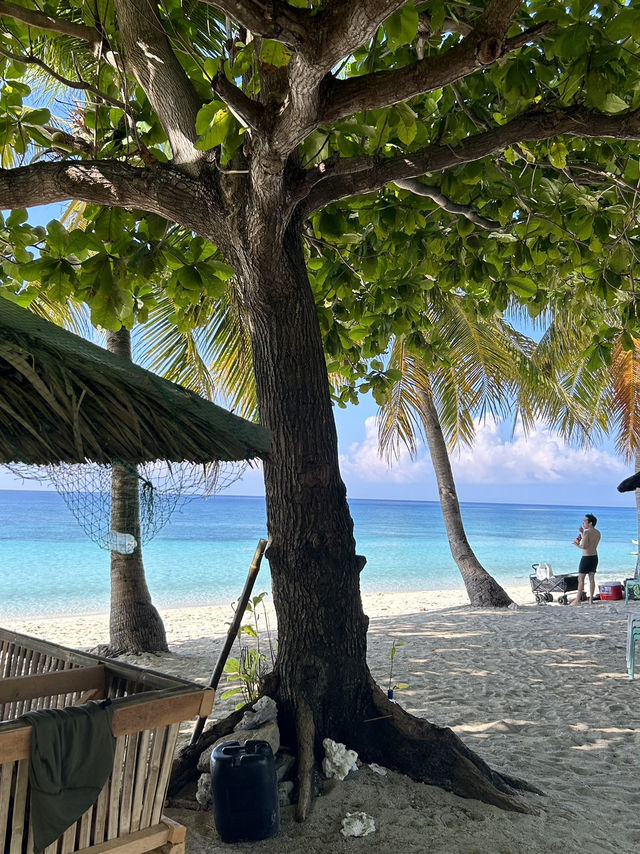 Where Even My Problems Took a Vacation
