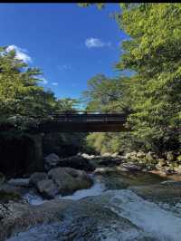 神秘の森・屋久島で“もののけ姫”の世界に迷い込む旅