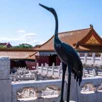 Walking Through Imperial History at the Forbidden City