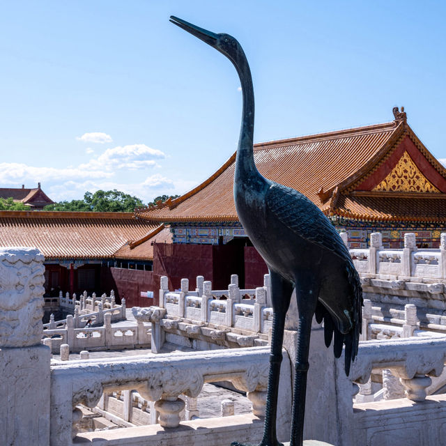  Walking Through Imperial History at the Forbidden City