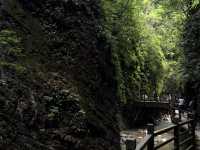  Zhangjiajie Grand Canyon: The Perfect Jiuzhaigou Alternative! 💚