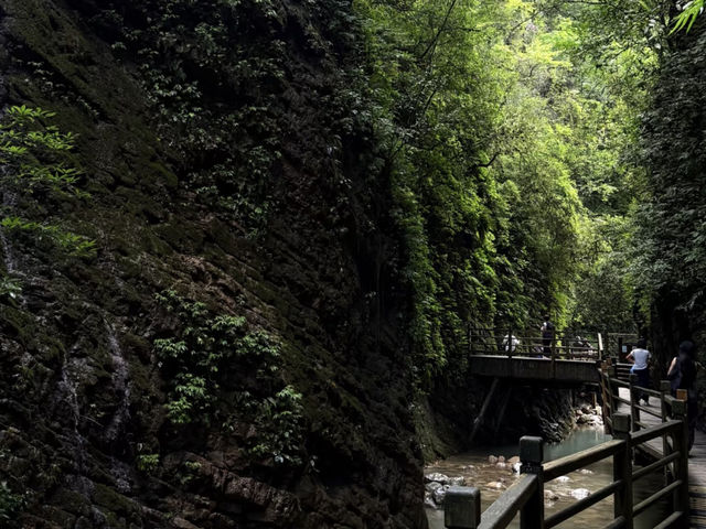  Zhangjiajie Grand Canyon: The Perfect Jiuzhaigou Alternative! 💚