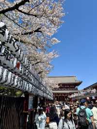 【東京】浅草寺