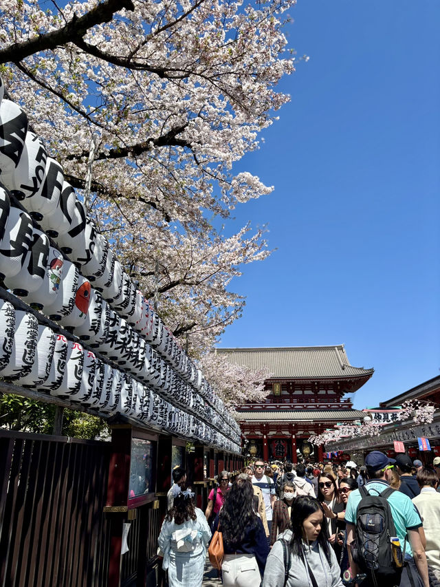 【東京】浅草寺