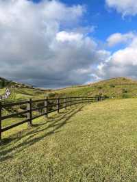 The country roads of Qingtiangang Grasslands