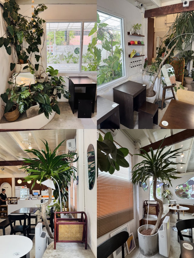 Check in 4 คาเฟ่ชิลล์ๆ พัทลุง สายกาแฟต้องตาม Check in 4 คาเฟ่ชิลล์ๆ พัทลุง สายกาแฟต้องตาม