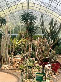 Bali Botanic Garden: Nature’s Retreat in Bedugul