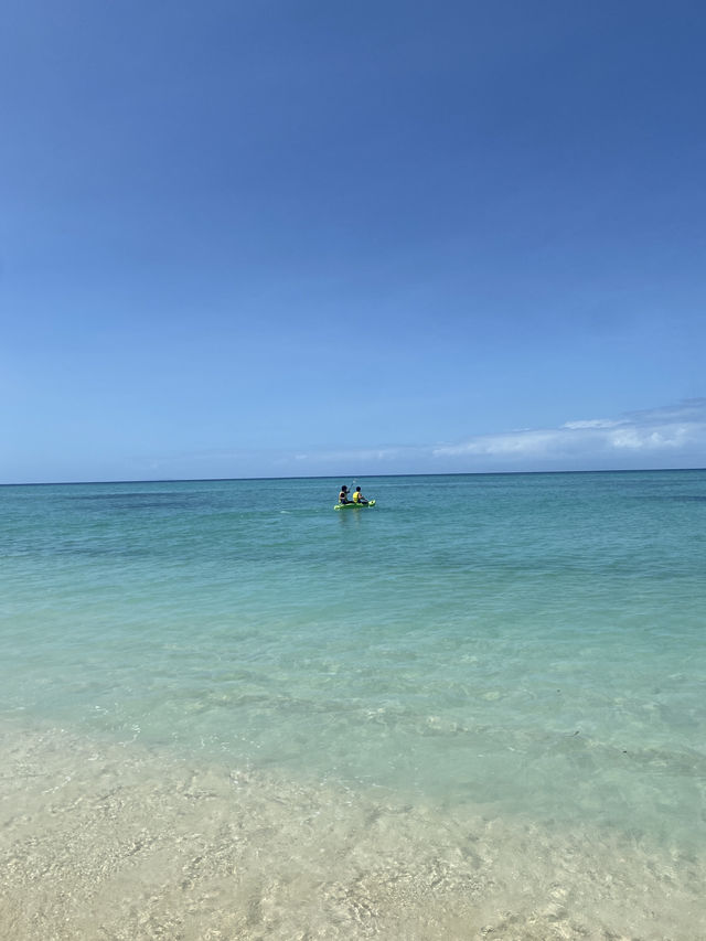 🇫🇯Tivua Island: A Tropical Paradise 🥥🌴