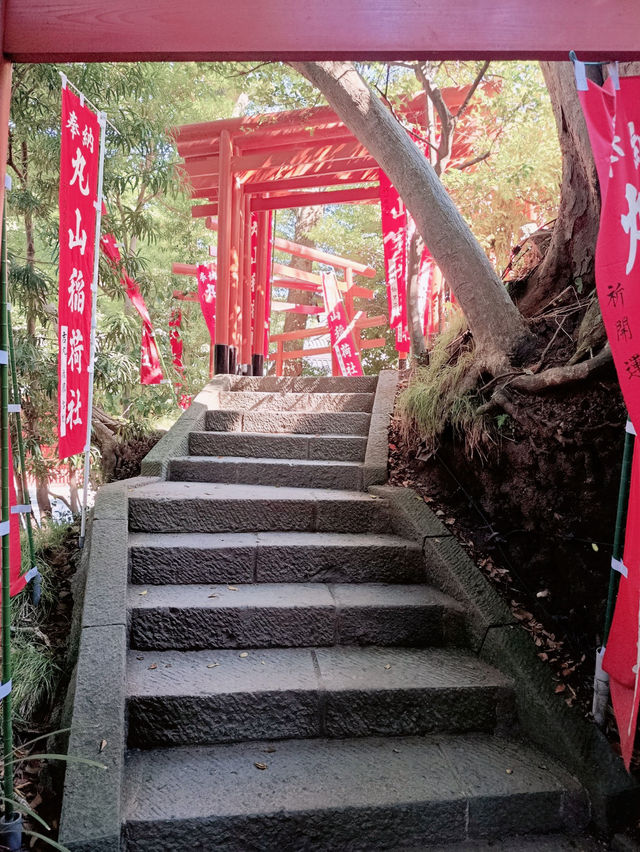 A Beautiful Day in Kamakura