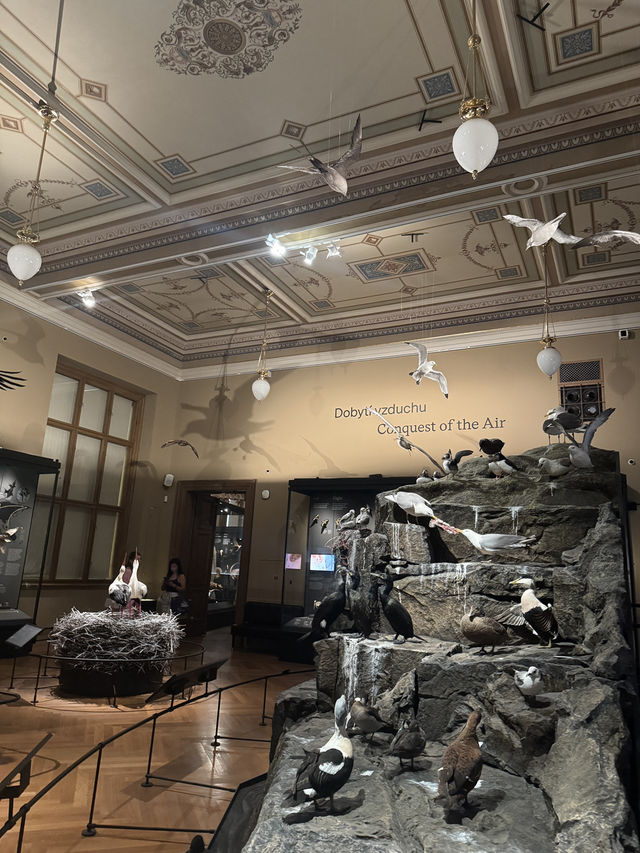 五星必訪！布拉格國家博物館（Národní muzeum）🏫