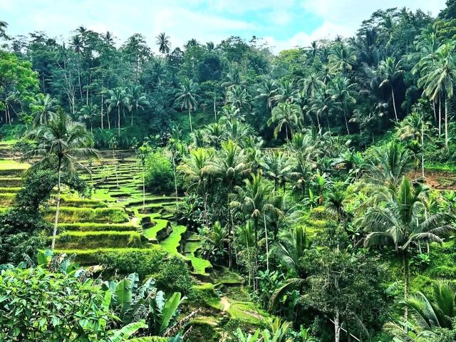 Discover the Charm of Ubud, Bali Discover the Charm of Ubud, Bali