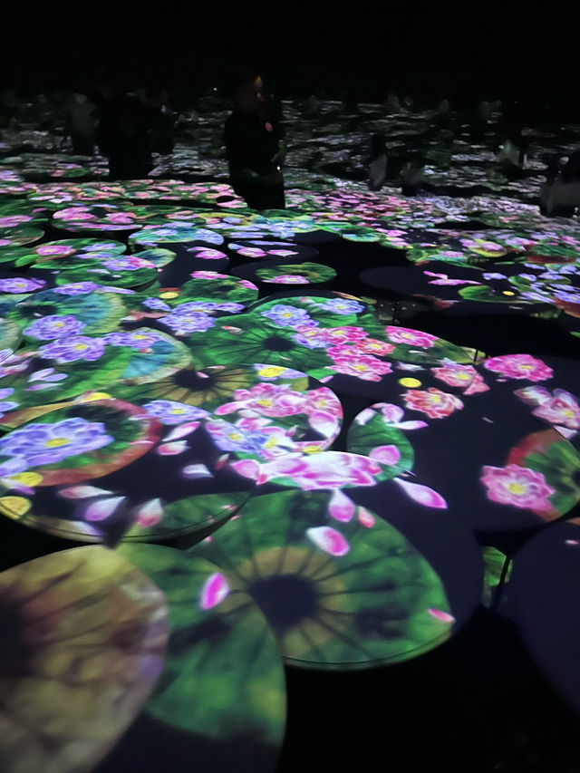 도쿄 아자부다이 힐즈 ✨ teamLab Borderless + Limelight 🍽️