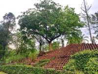 Sun Garden at Taman Botani Putrajaya – A Blooming Paradise in the Heart of the City