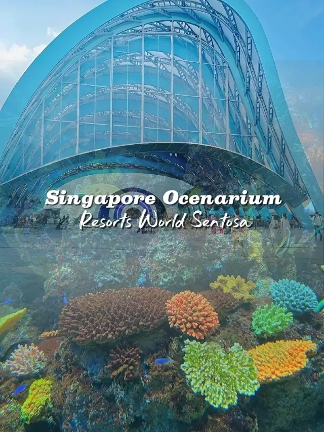 Dive Into Wonder: A Day at the Singapore Oceanarium