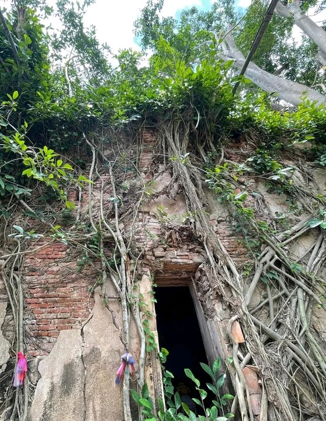 ชมโบสถ์ปรกโพธิ์วัดบางกุ้ง🌿