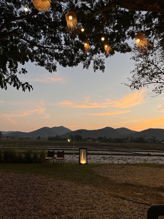 🍸✨ Siplor Bar, สันกำแพง, Chiang Mai ✨🍸
