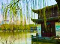 Xiuhu Park: The Heart of Yiwu’s City Life