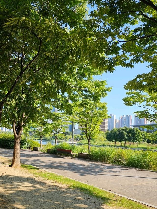 송도의 호수 큰 공원